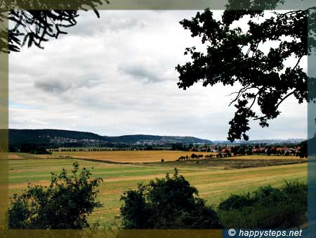 photo of wheat fields at Lipence, Prague